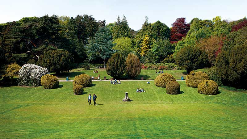 Students in the Sunken Garden, London Campus on a sunny day