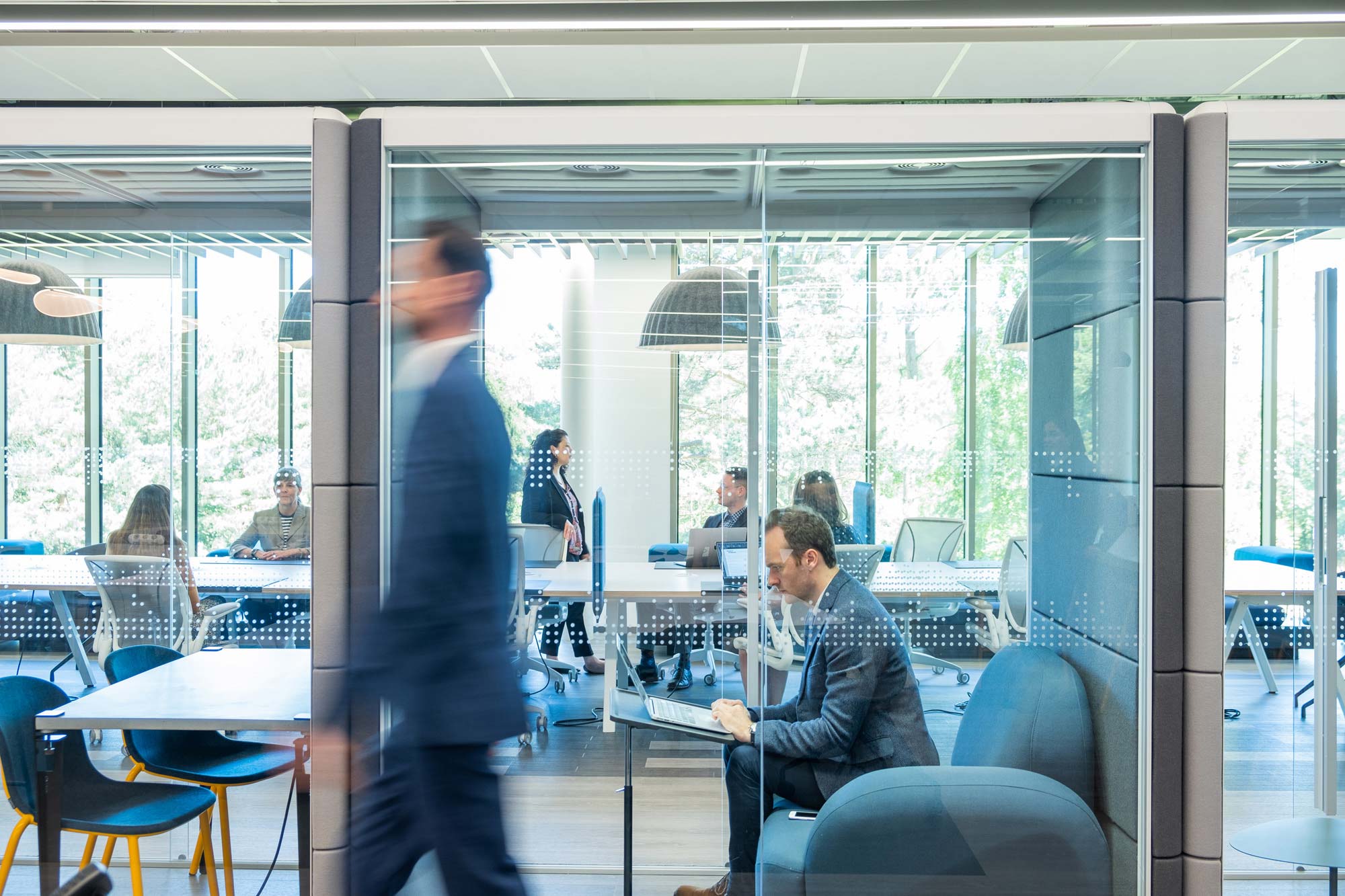 People working in glass-fronted cubicles